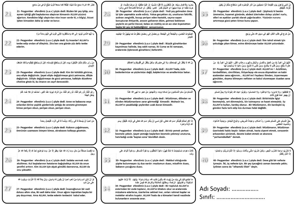 PowerPoint Sunusu